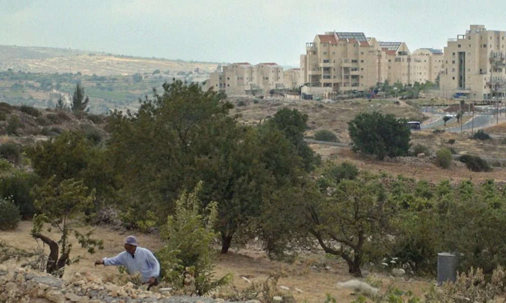 Vacances en Palestine